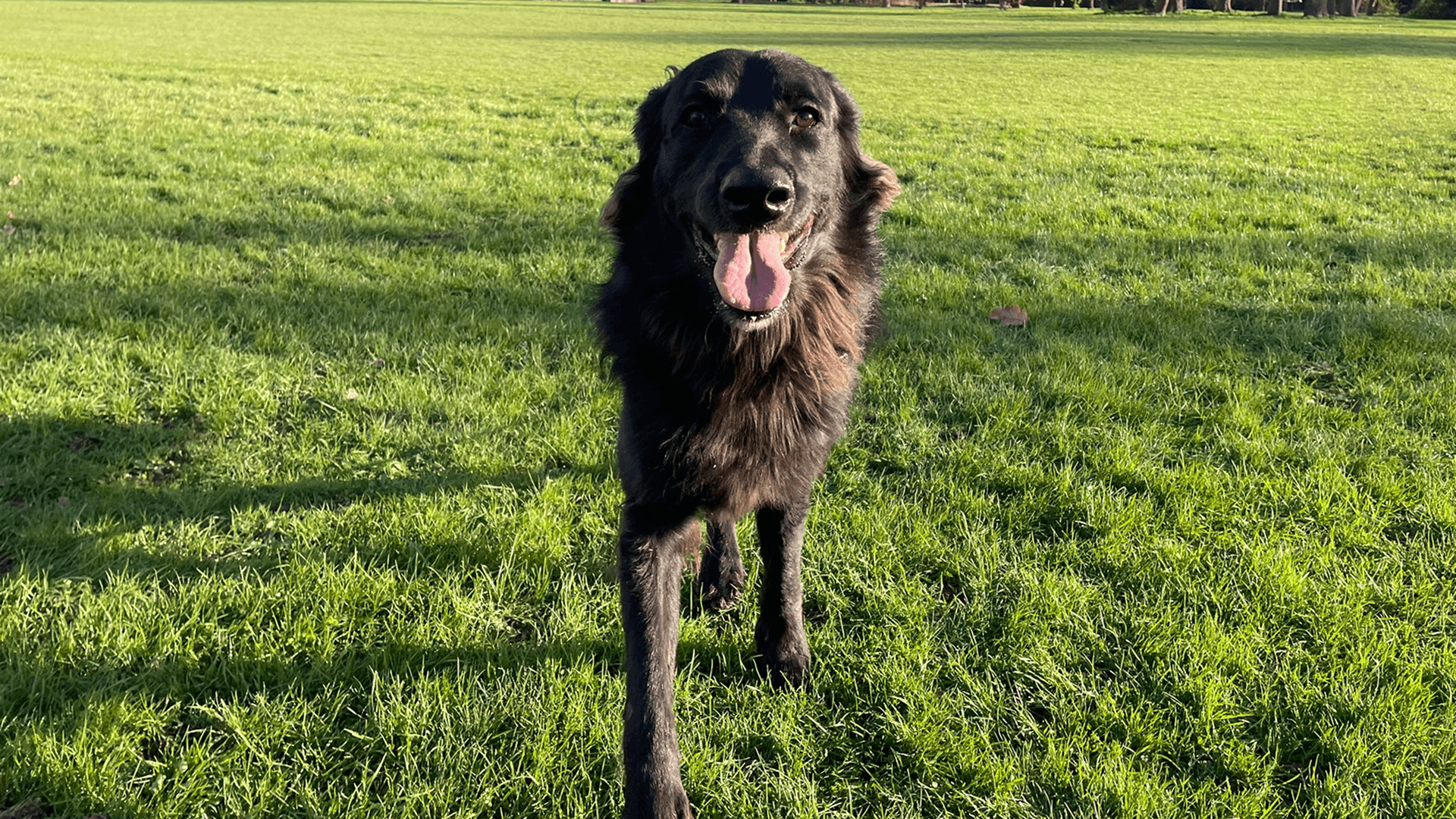 Tailored for Excellence